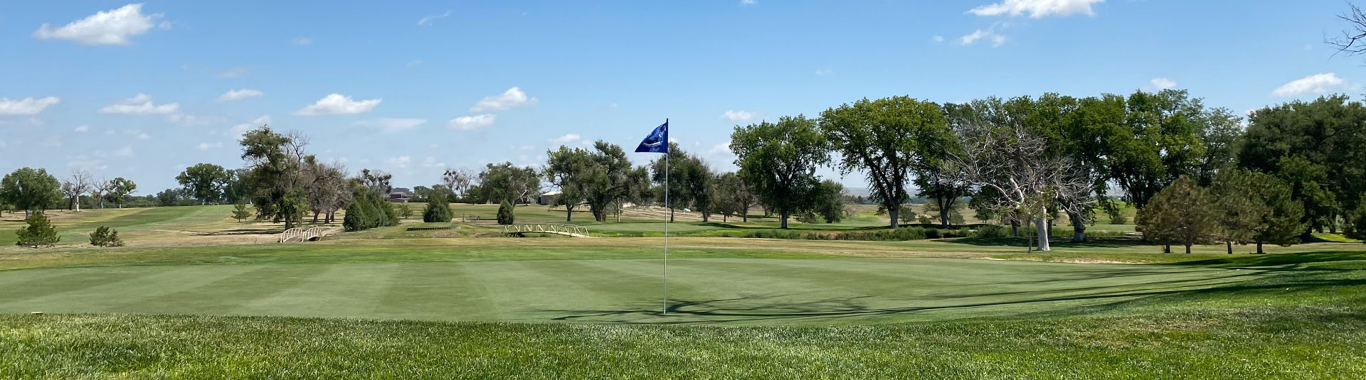 Sky Ranch Golf Club - Photo 6